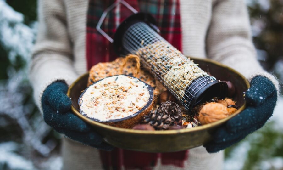 V zimě pomáháme ptactvu s potravou