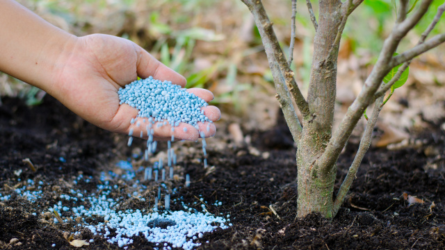 Granulovaná hnojiva