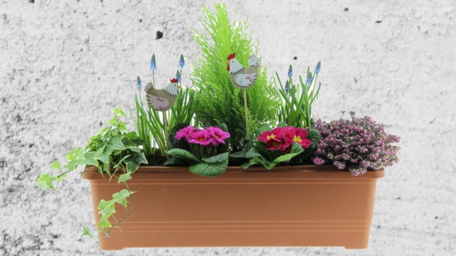 Jarní truhlíky s cibulovinami