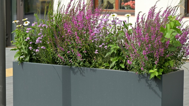 Kompozitní truhlíky