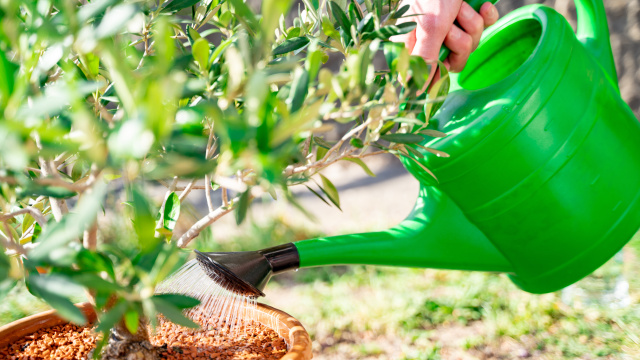 Konve a nádoby na vodu