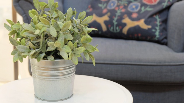 Kovové a plechové obaly