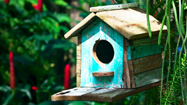 Krmítka, budky, domečky