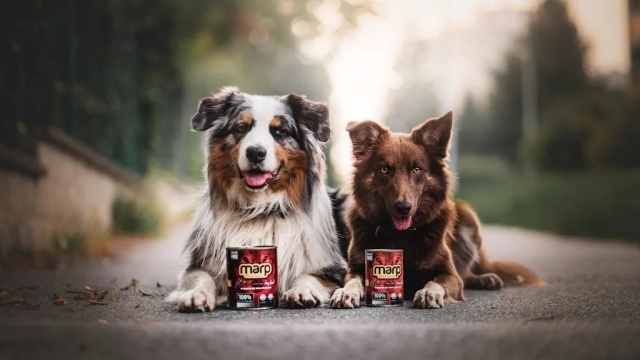 Krmiva a doplňky stravy