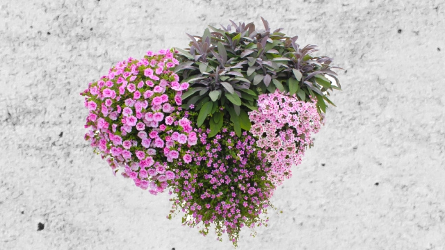 Květinové truhlíky