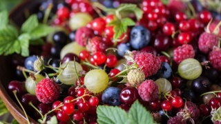 Ostatní drobné ovoce