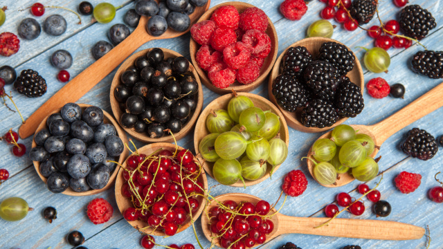 Ovocné stromy a keře