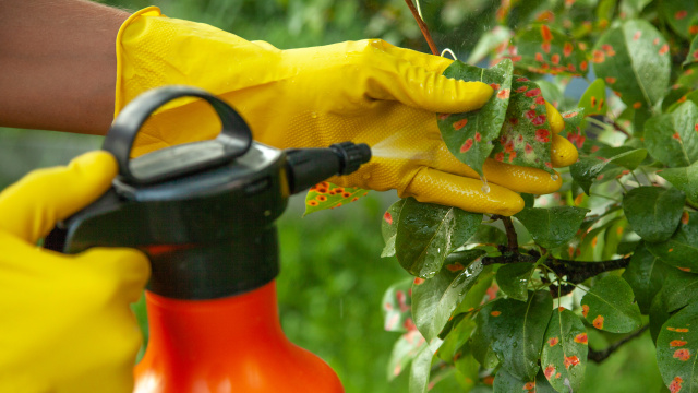 Přípravky proti houbovým chorobám