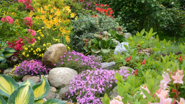 Trvalky a okrasné traviny