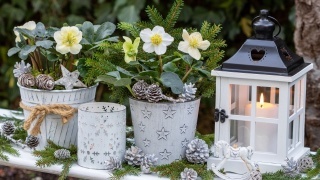 Vánoční obaly a květináče