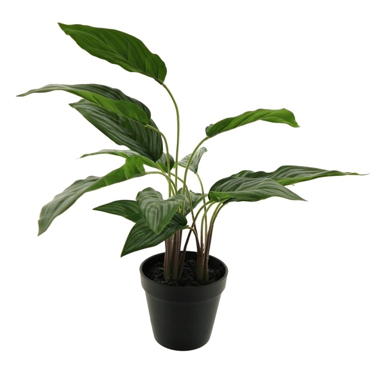 Umělé květiny v obalu - Aglaonema hrnková umělá 53cm