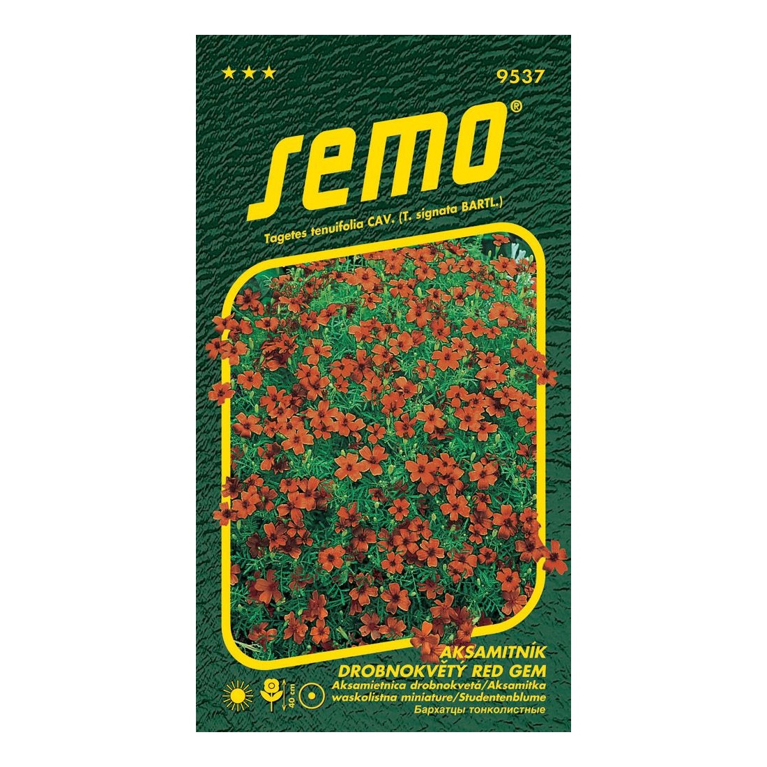 Osivo letniček - Aksamitník drobnokvětý červený