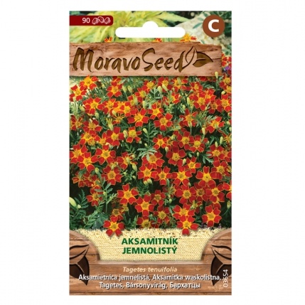 Osivo letniček - Aksamitník jemnolistý červený (MS)