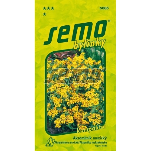 Osivo letniček - Aksamitník mexický léčivka