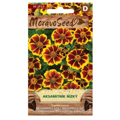 Osivo letniček - Aksamitník nízký jednoduchý hnědo-žlutý (MS)