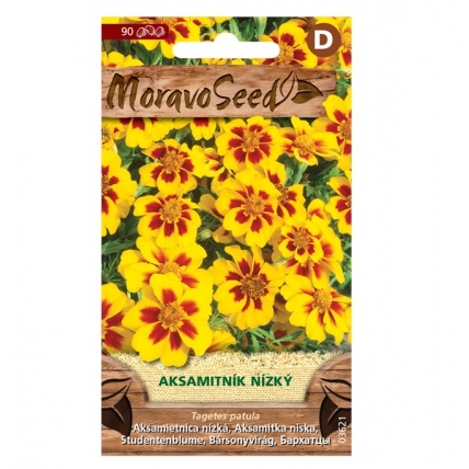 Osivo letniček - Aksamitník nízký jednoduchý žluto-hnědý (MS)