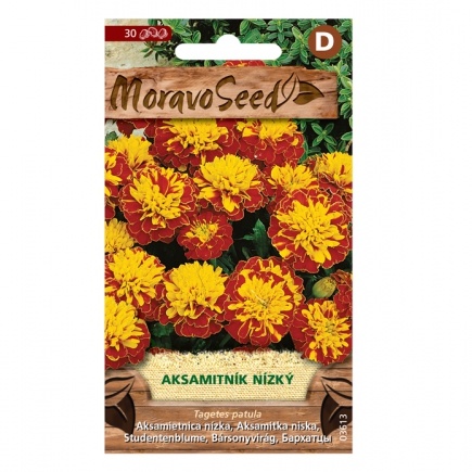 Osivo letniček - Aksamitník nízký plný hnědožlutý (MS)