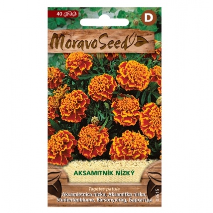 Osivo letniček - Aksamitník nízký plný oranžovohnědý (MS)