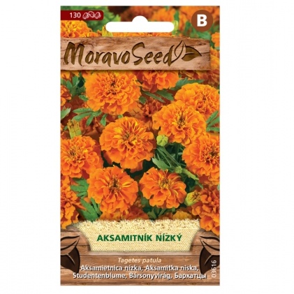 Osivo letniček - Aksamitník nízký plný oranžový (MS)