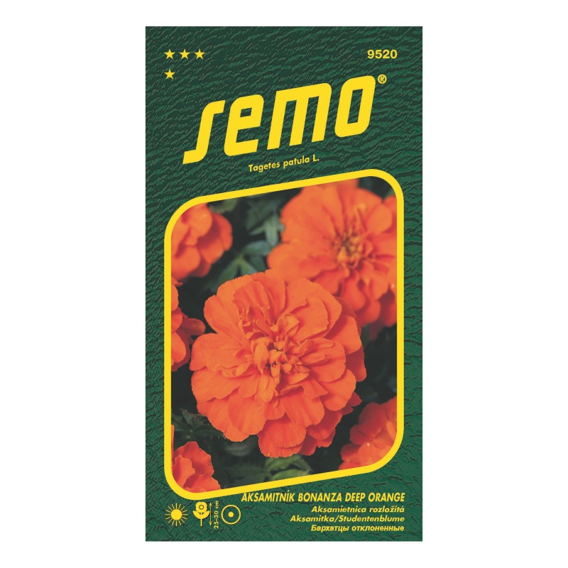 Aksamitník rozkladitý Bonanza Deep-0