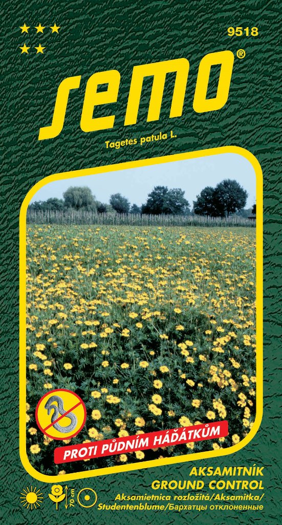 Osivo letniček - Aksamitník rozkladitý Ground Control