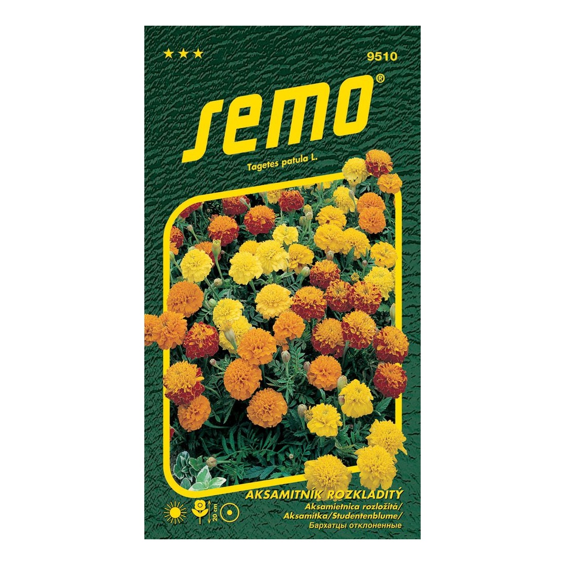 Osivo letniček - Aksamitník rozkladitý Petit směs