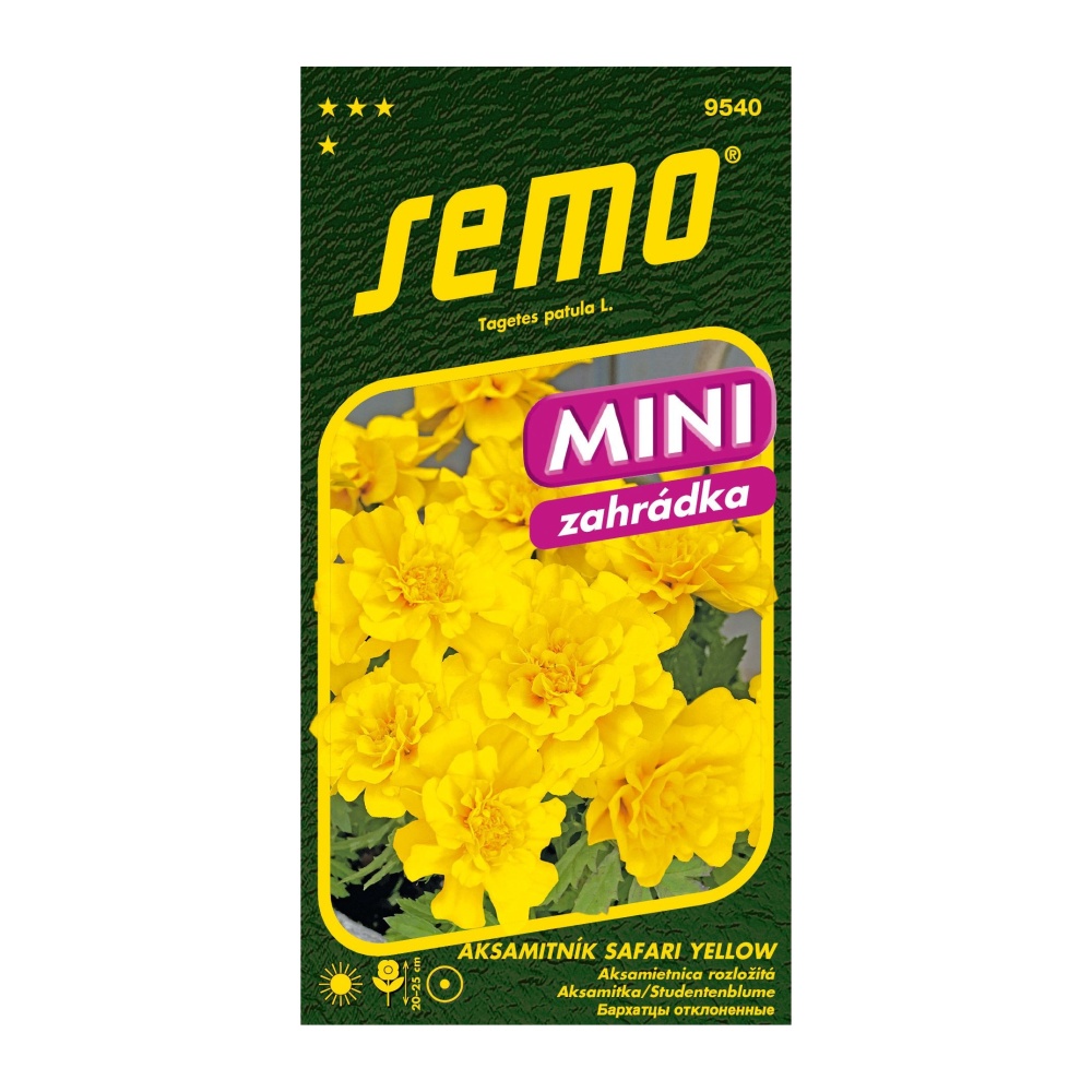 Osivo letniček - Aksamitník rozkladitý Safari Yellow MINI