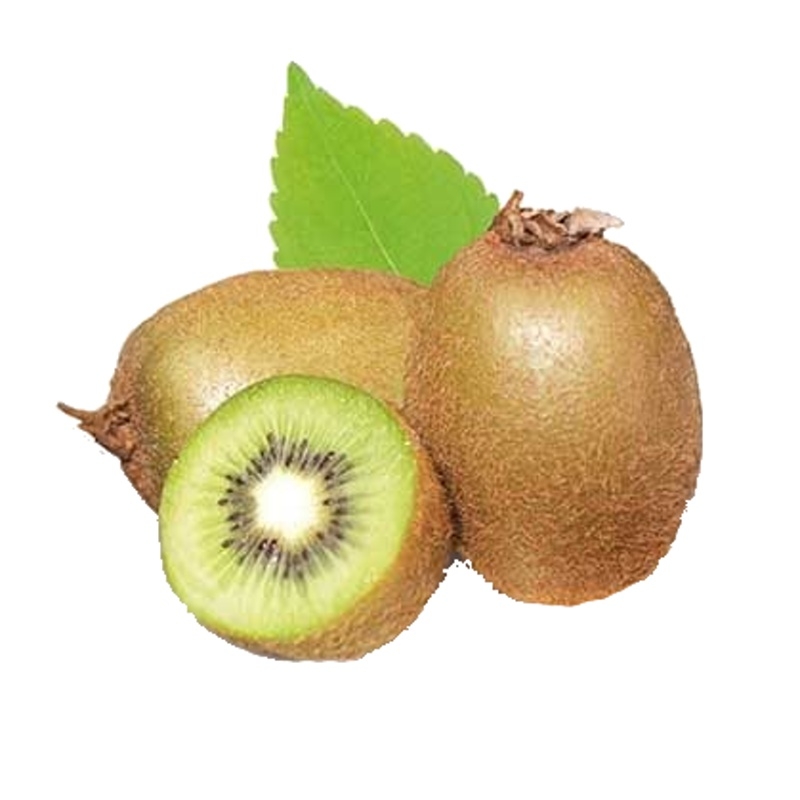 Aktinídie čínská 'Jenny' květináč 2 litry, výška 55cm, vyvazovaný, SAMOSPRAŠNÁ-0