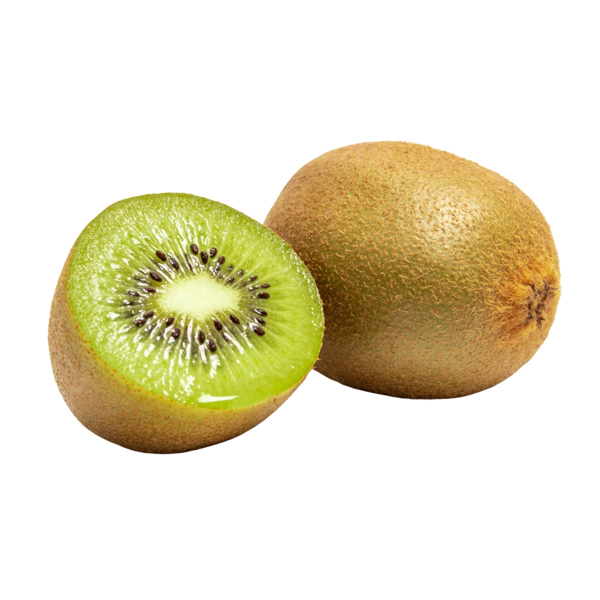 Popínavé rostliny - Aktinídie lahodná Solissimo květináč 6 litrů, kužel