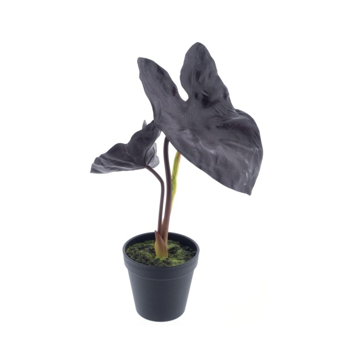 Umělé květiny v obalu - Alocasie hrnková umělá lilková 40cm