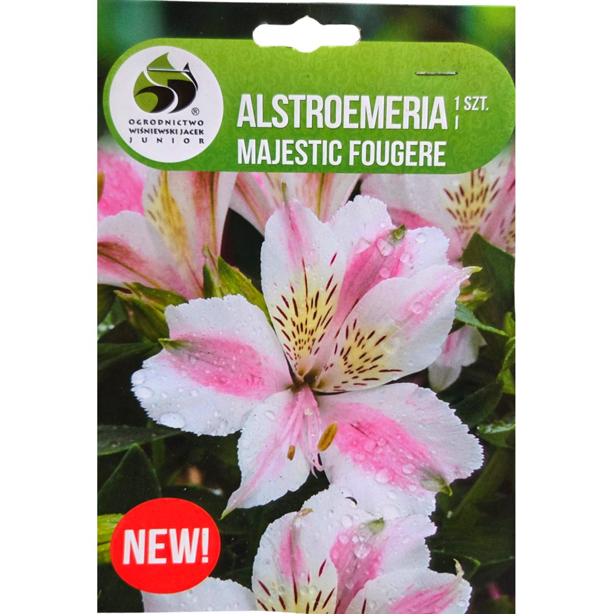 Ostatní jarní cibuloviny - Alstromerie Majestic Fougeré 1ks