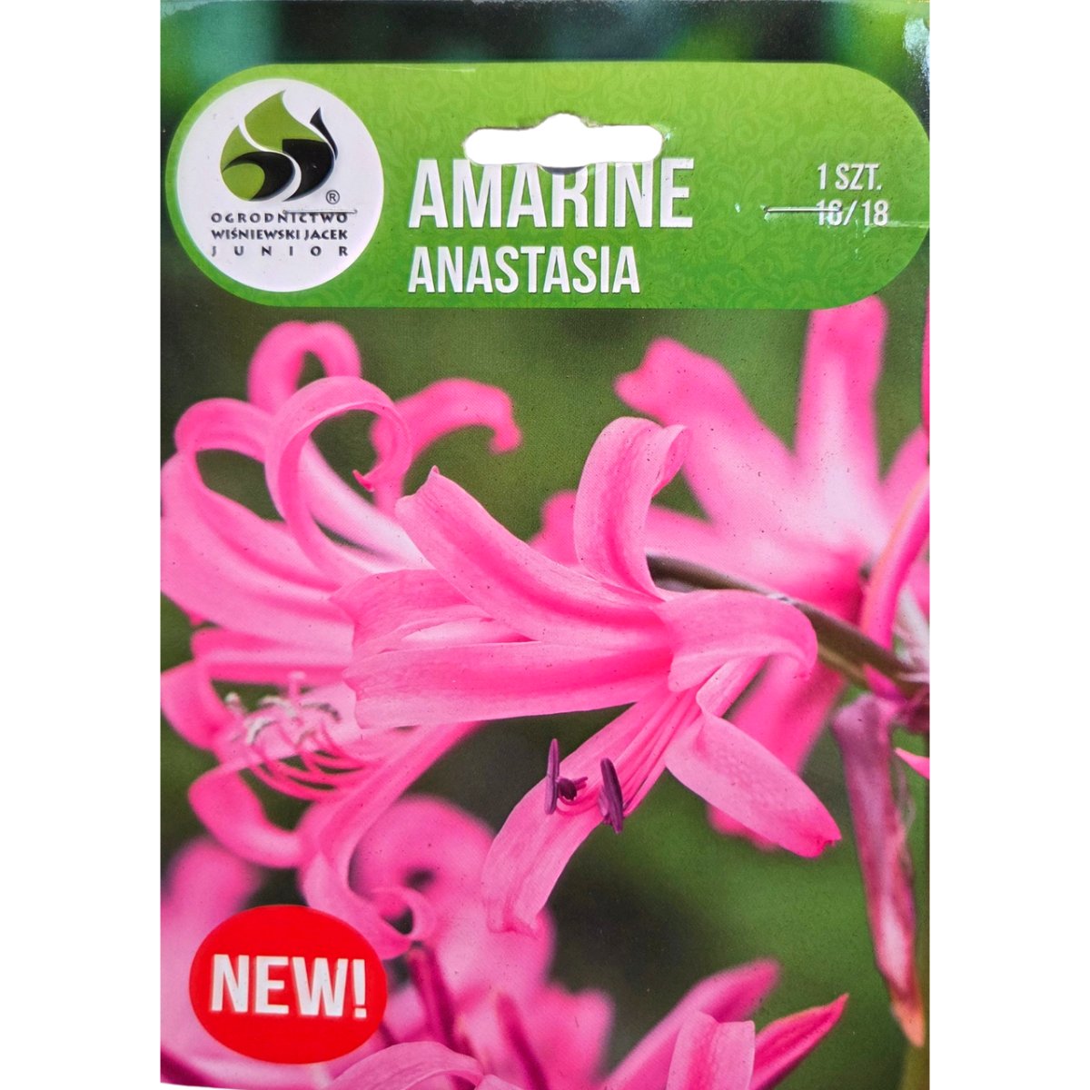 Ostatní jarní cibuloviny - Amarine 'Anastasia' 1ks