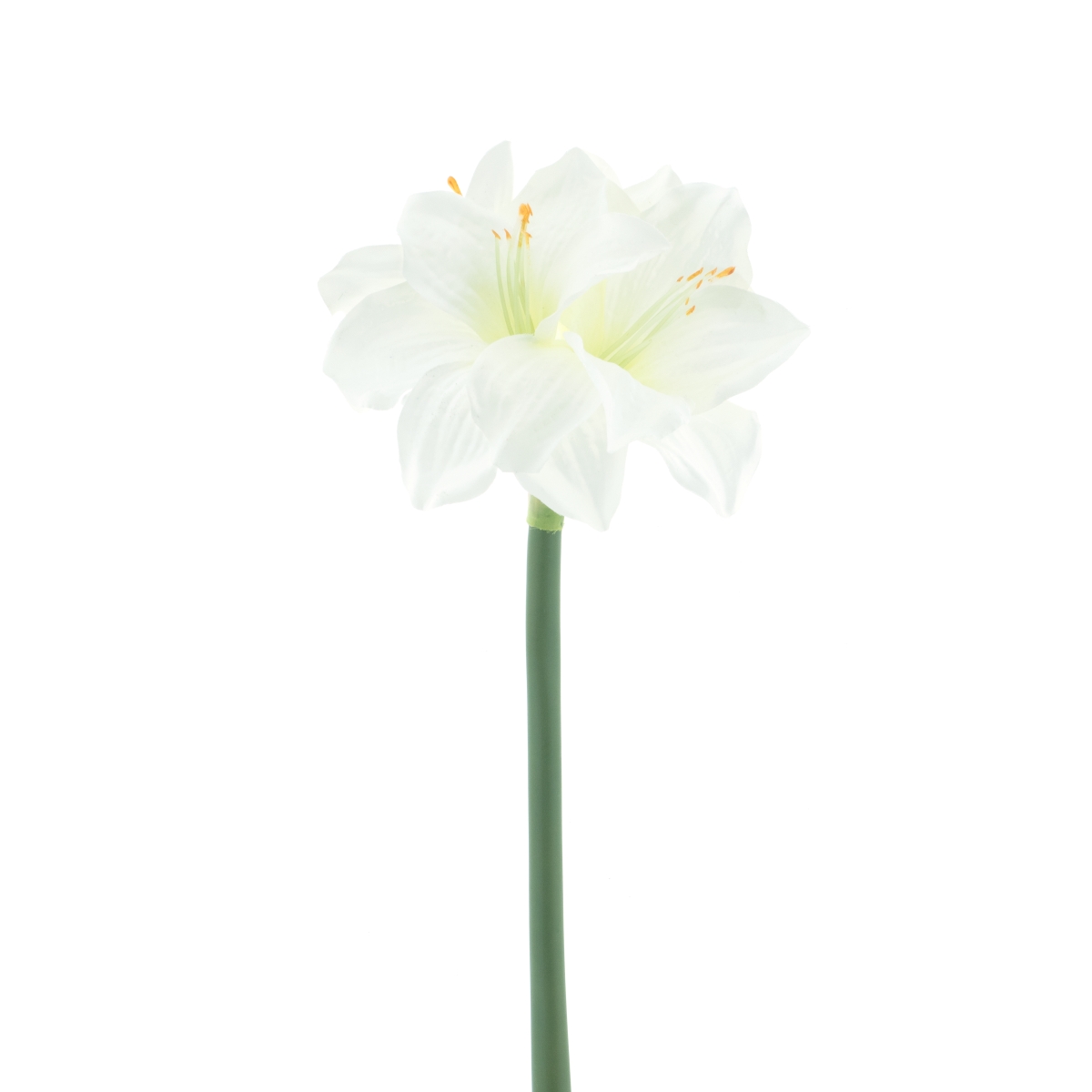 Amarylis RABAT řezaný umělý krémový 65cm