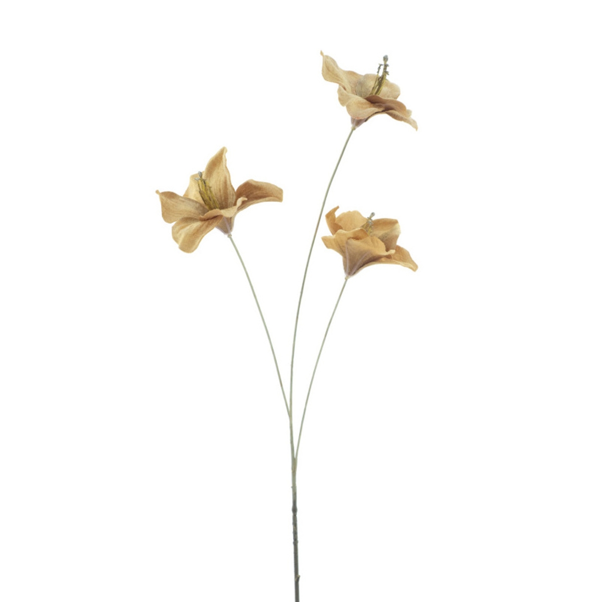 Vánoční umělé květiny - Amaryllis HARDY umělý béžový 75cm