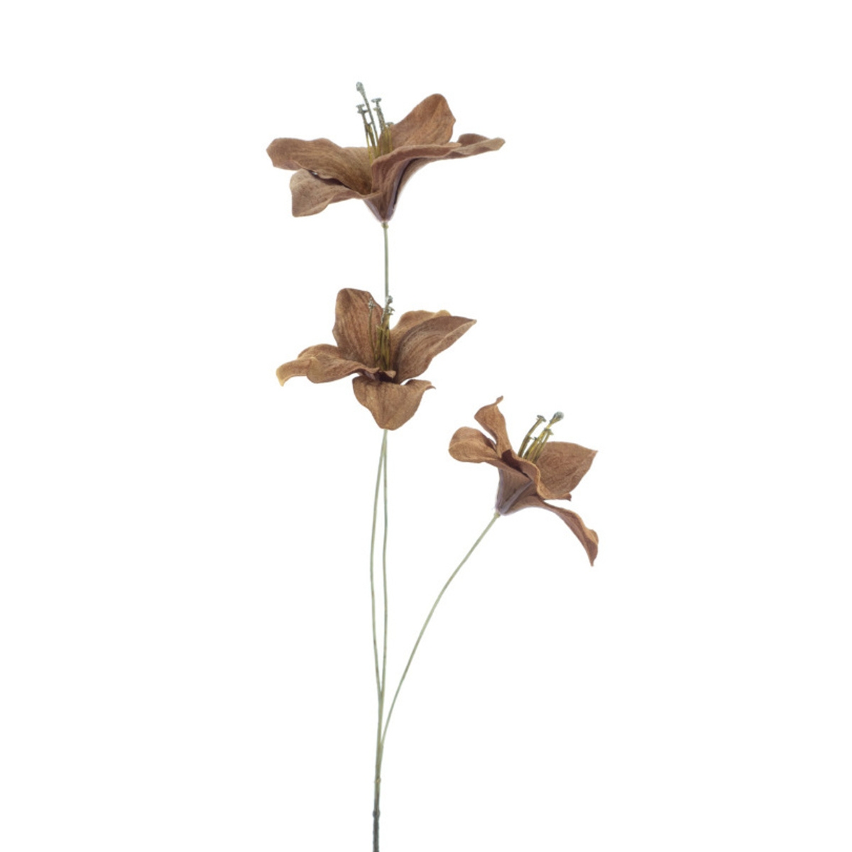 Vánoční umělé květiny - Amaryllis HARDY umělý hnědý 75cm