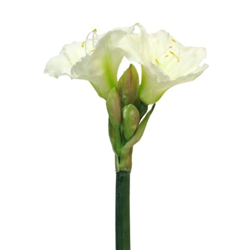 Amaryllis REGENT umělý 56cm krémová