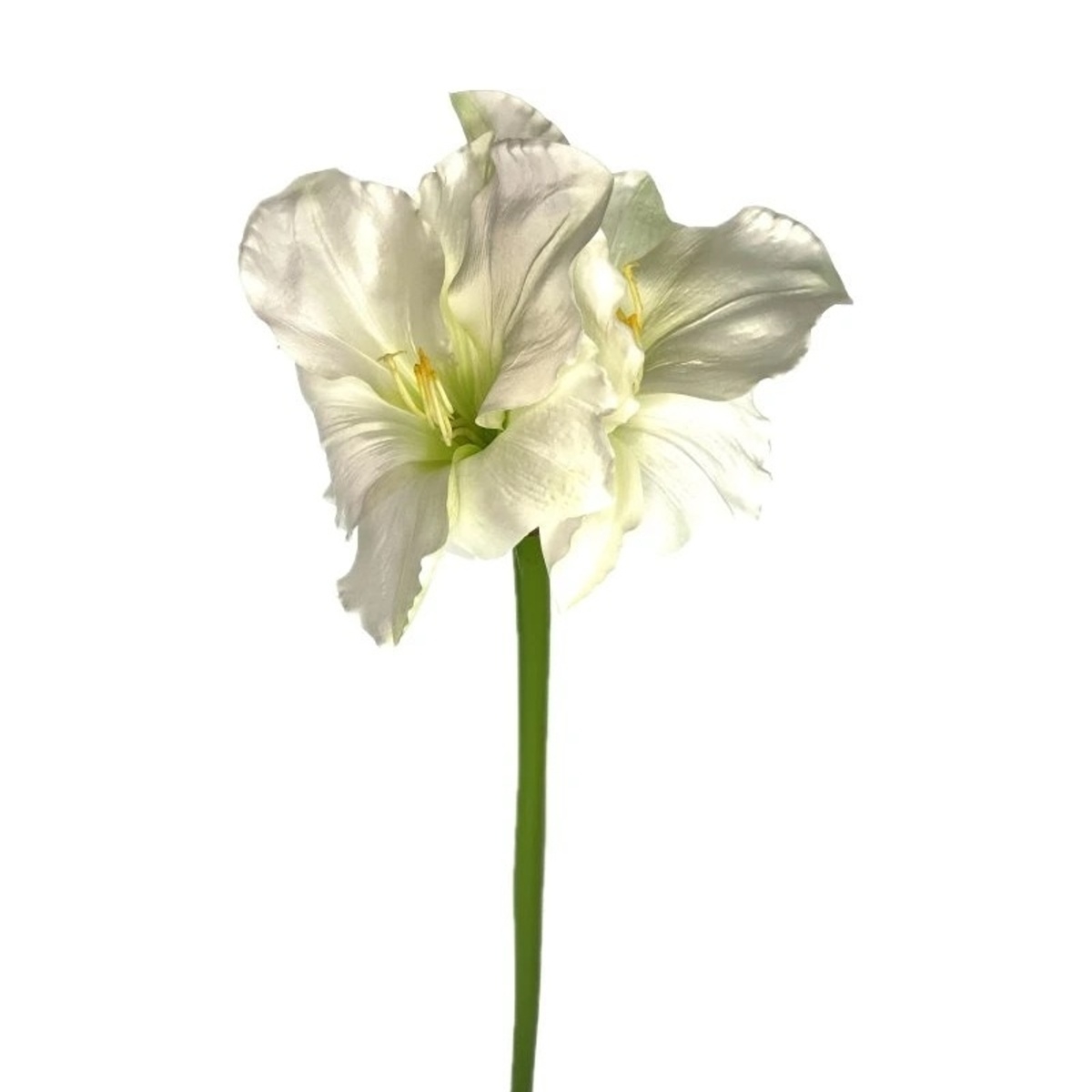 Amaryllis řezaný umělý bílý 97cm