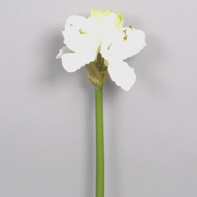 Amaryllis RIVERSDALE řezaný umělý 70cm bílý