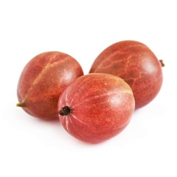 Angrešty - Angrešt červený 'Kameniar' kmínek 60cm