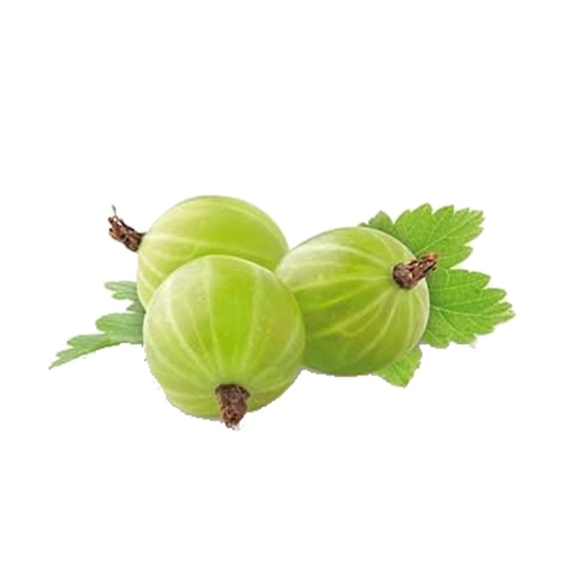 Angrešt Hinnonmekei Green květináč 3 litry, kmínek 90cm, bílý-0