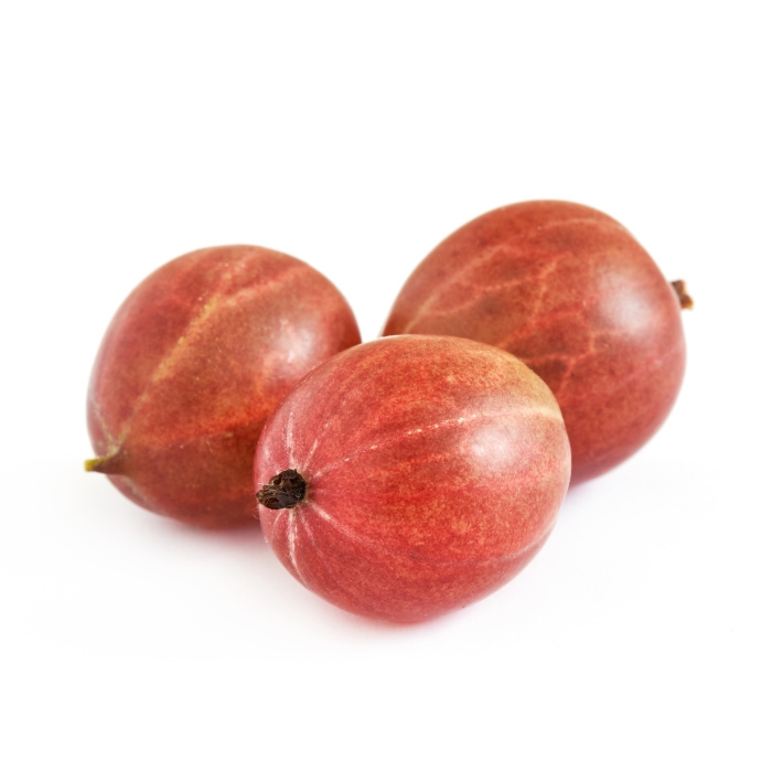 Angrešty - Angrešt 'Karmen' květináč 3 litry, kmínek 60cm, červený