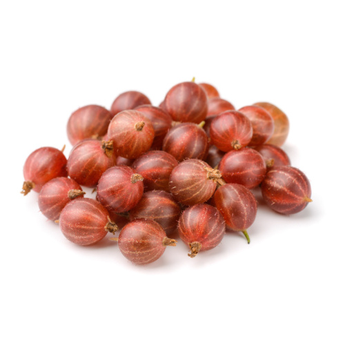 Angrešty - Angrešt  'Pax'® prostokořenný, kmínek 60cm, červený