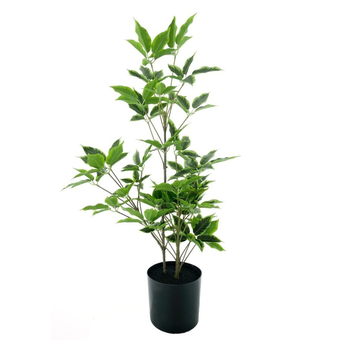 Umělé květiny v obalu - Aralie hrnková umělá panašovaná 60cm