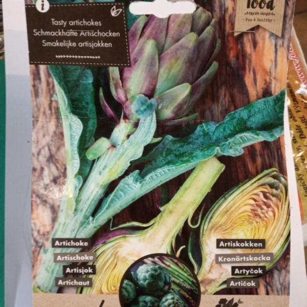 Osivo zeleniny - Artyčok Cynara Scolymus 1ks