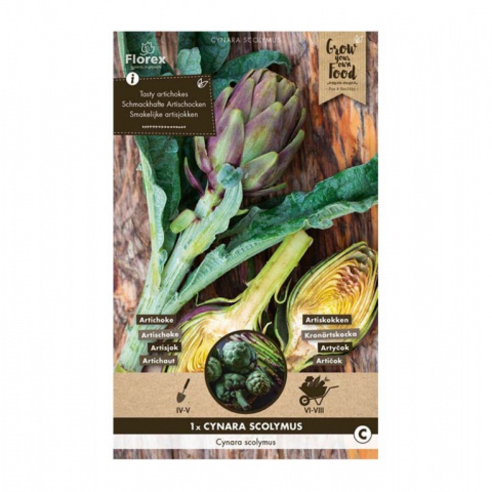 Osivo zeleniny - Artyčok Cynara Scolymus 1ks