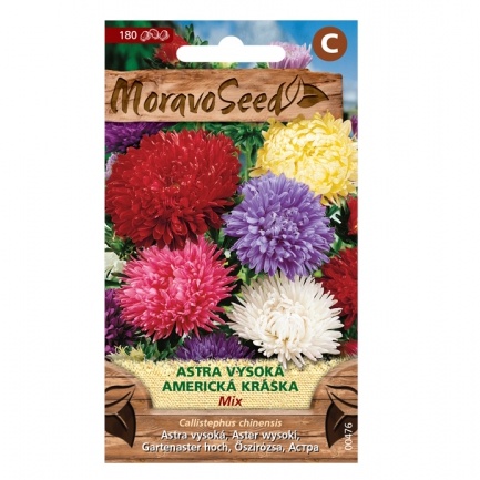 Osivo letniček - Astra čínská Americká krása vysoká směs (MS)