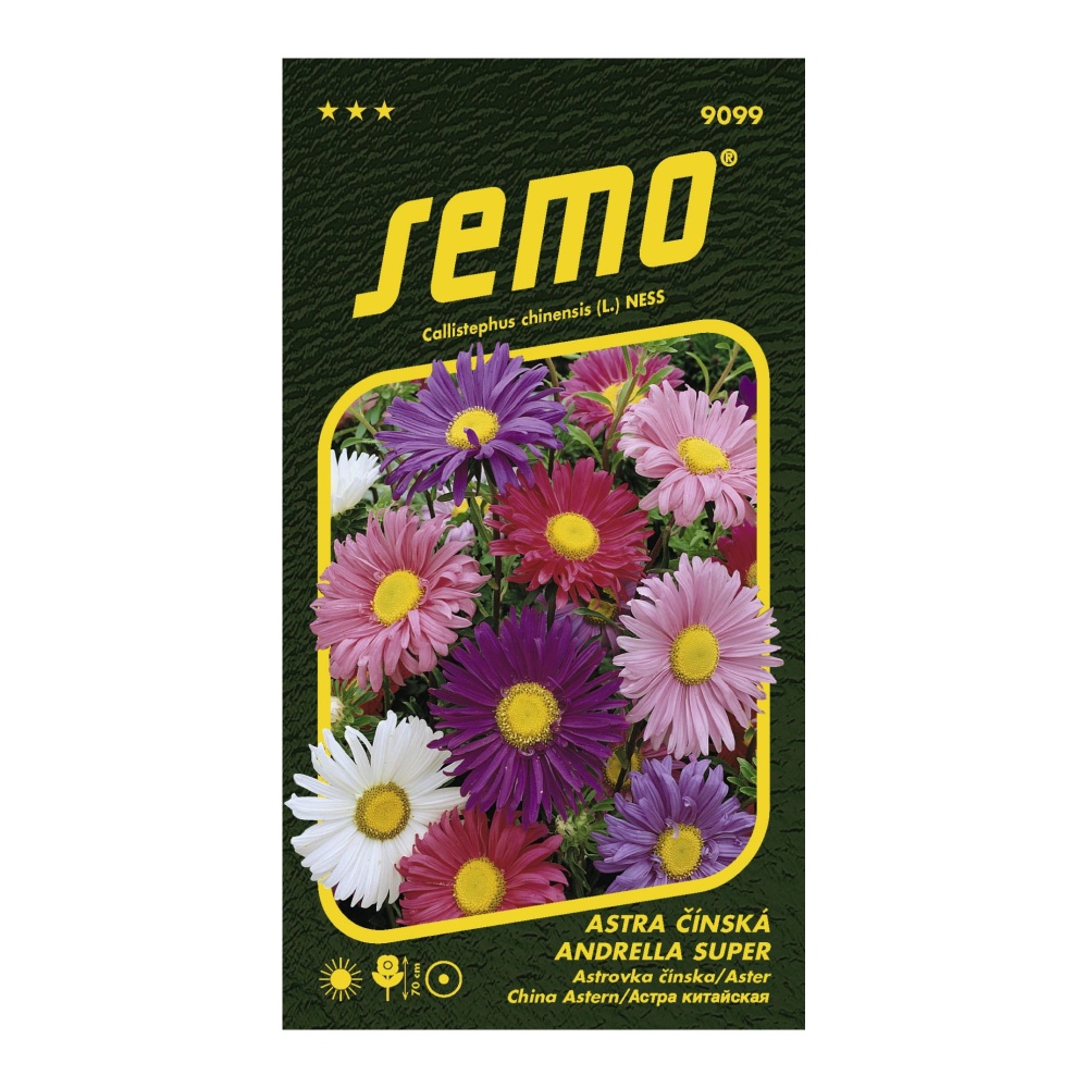Osivo letniček - Astra čínská Andrella Super mix