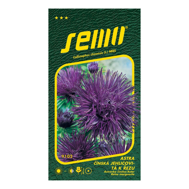 Astra čínská jehlicovitá Electric modrá-0