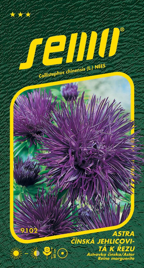 Osivo letniček - Astra čínská jehlicovitá Electric modrá