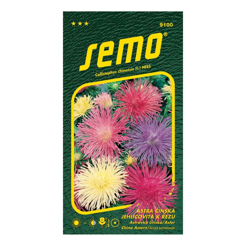 Astra čínská jehlicovitá Electric směs-0